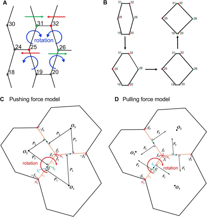FIGURE 2