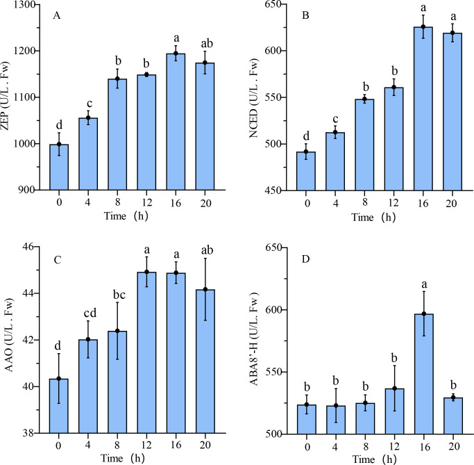 Figure 6