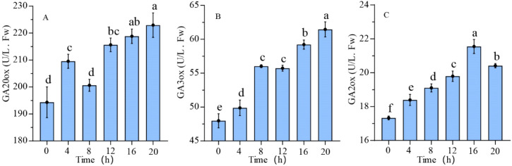 Figure 7