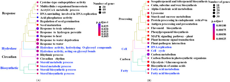 Figure 9