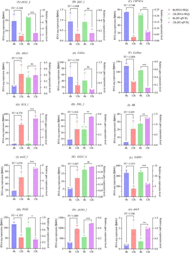 Figure 13