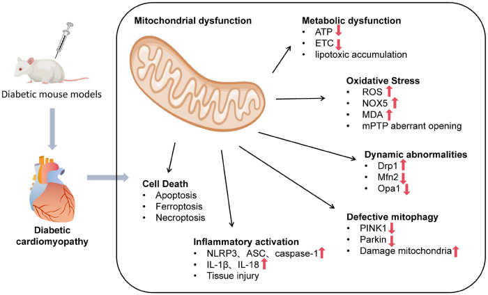 Figure 1