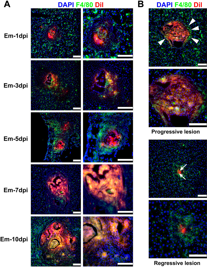 Figure 3