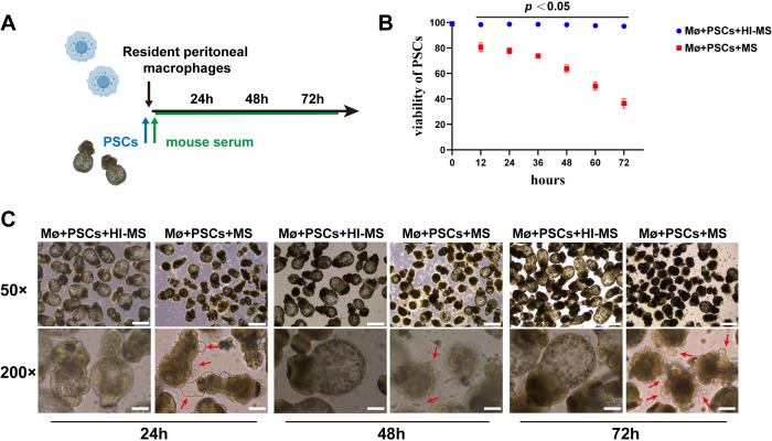 Figure 4