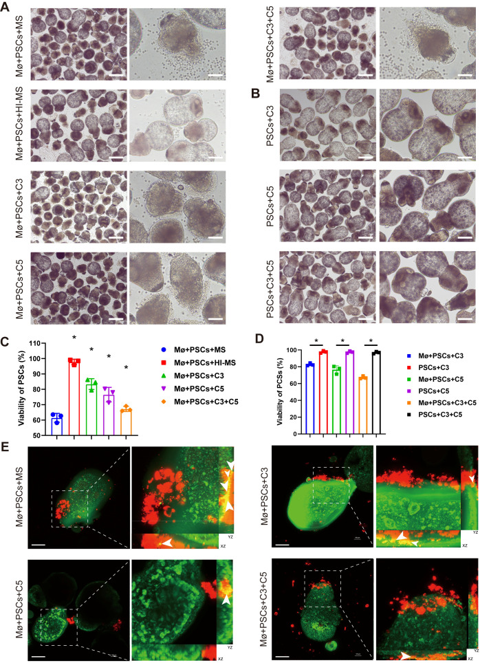 Figure 6