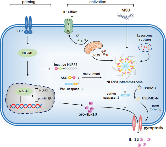 Figure 2