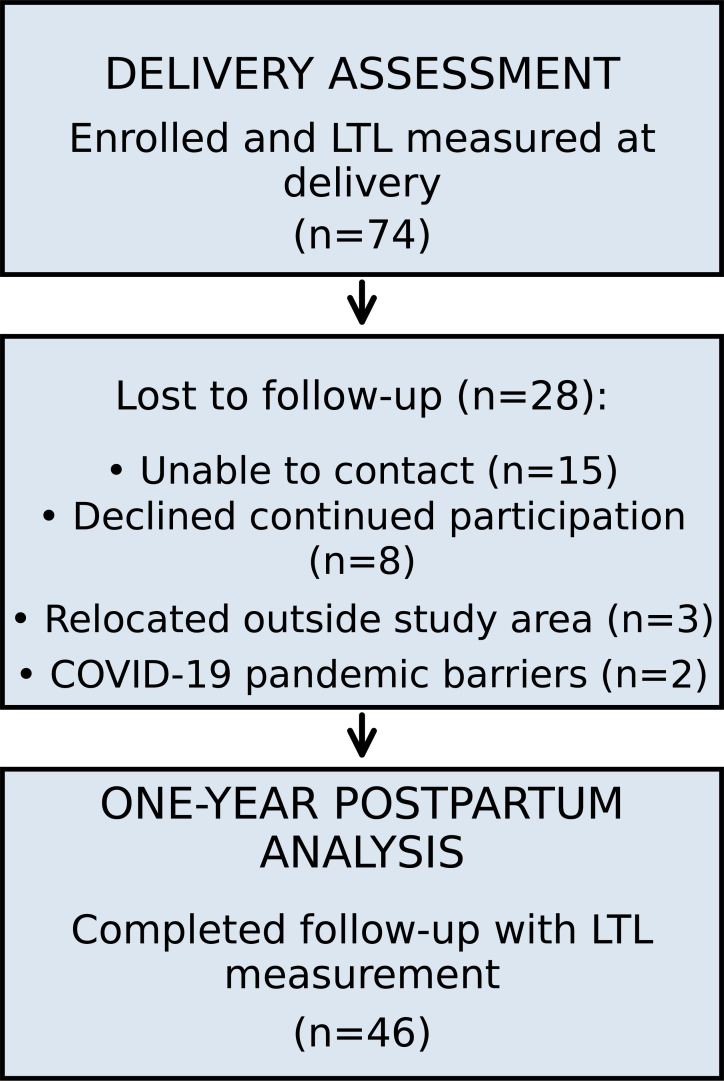 Figure 1