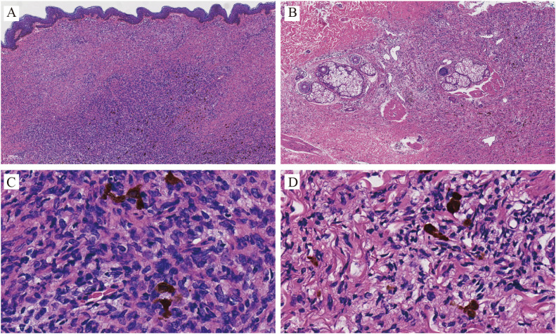 Figure 2