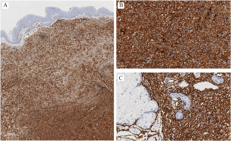 Figure 3