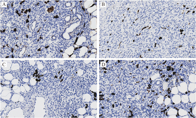 Figure 4