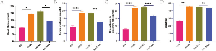 Figure 6