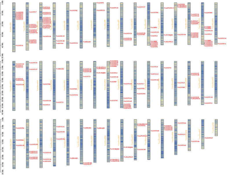 Figure 2