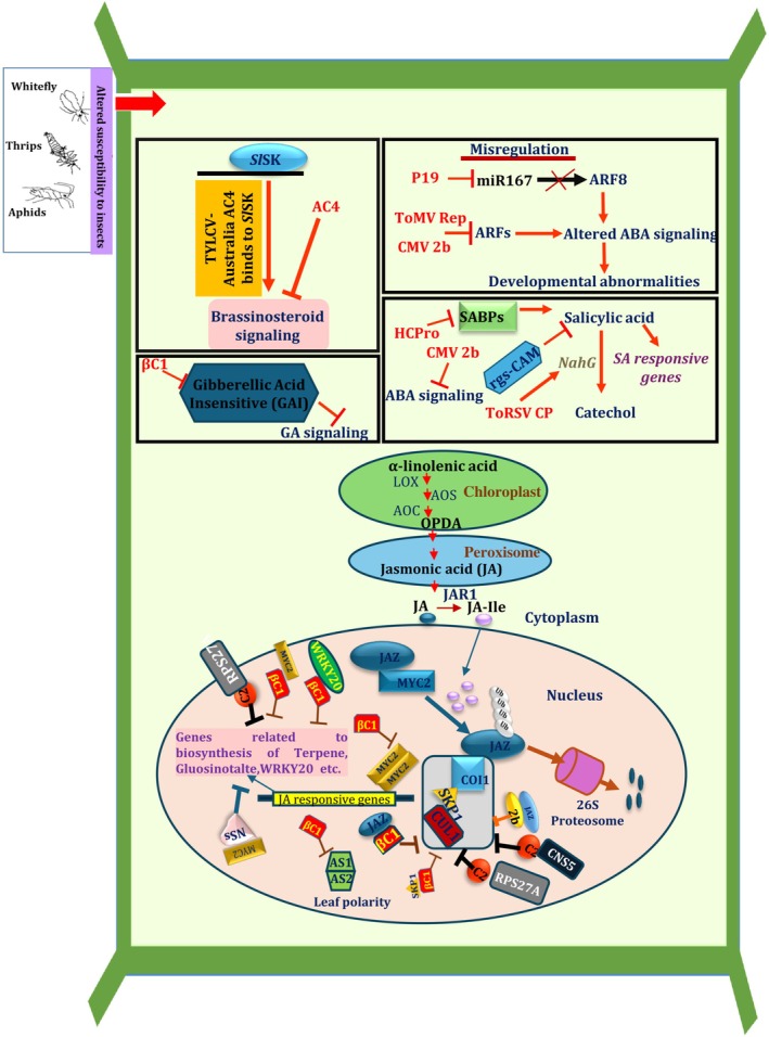 FIGURE 2
