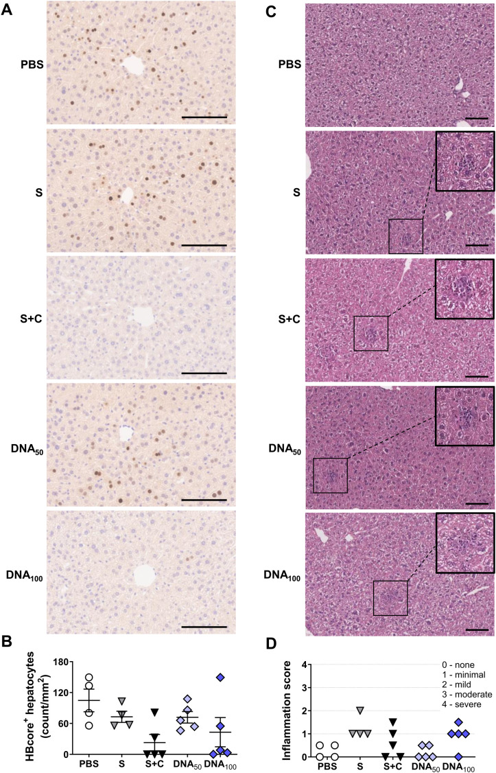 Figure 6
