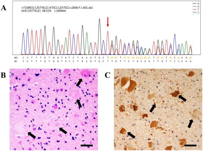Figure 4