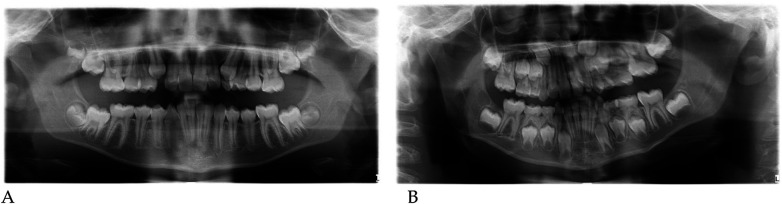 Figure 24