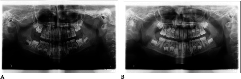 Figure 40