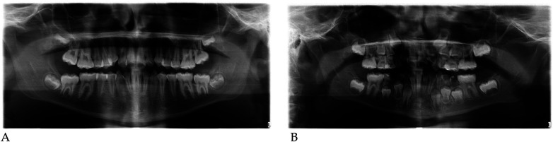 Figure 48