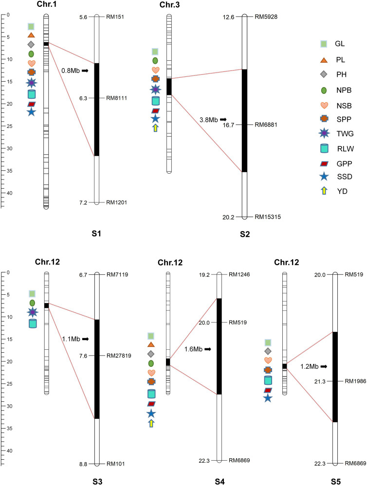 Figure 3