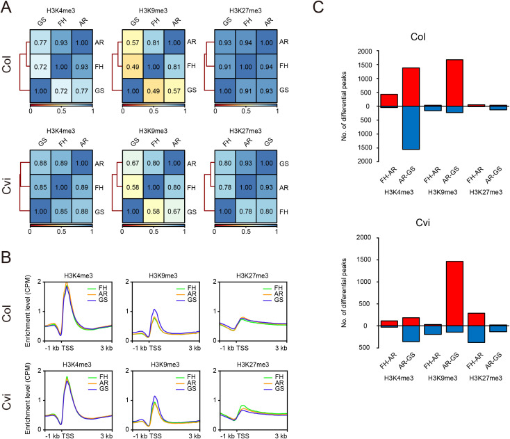 Figure 4