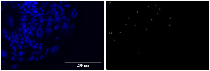 Figure 6
