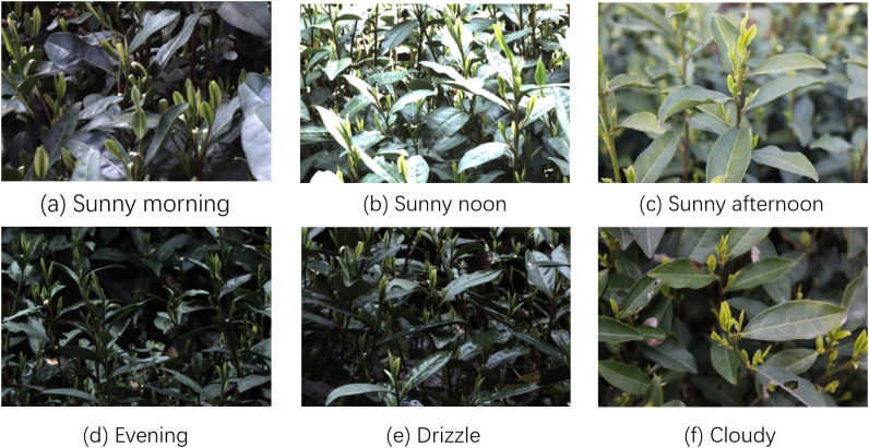 Figure 1
