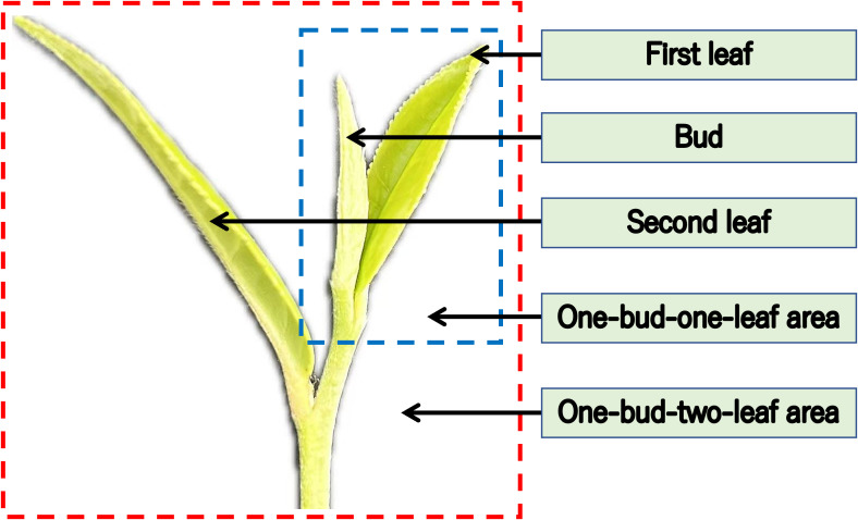 Figure 3