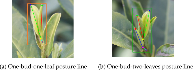 Figure 11