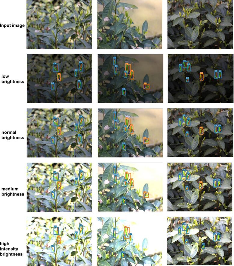 Figure 15