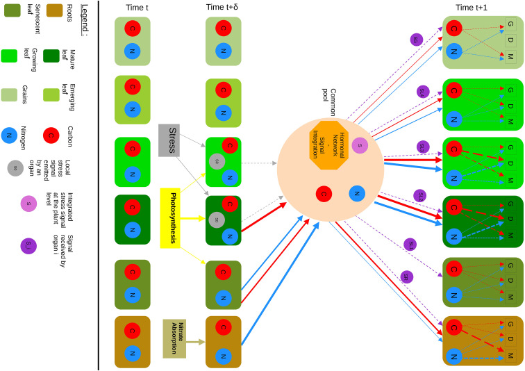 Figure 3