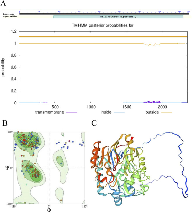 FIGURE 1
