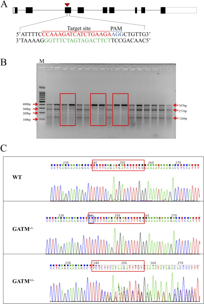 FIGURE 2