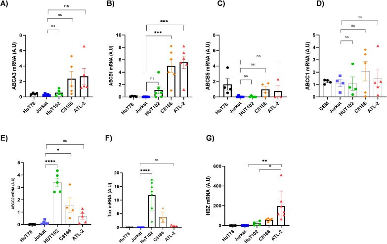 Figure 2