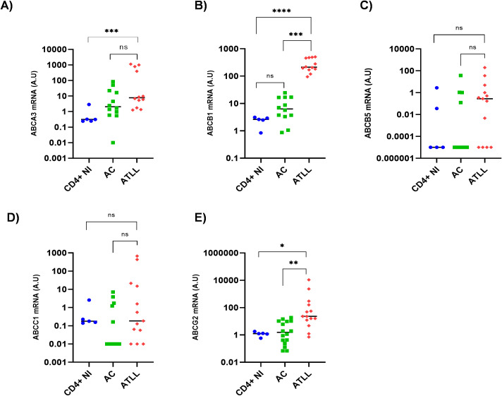 Figure 3