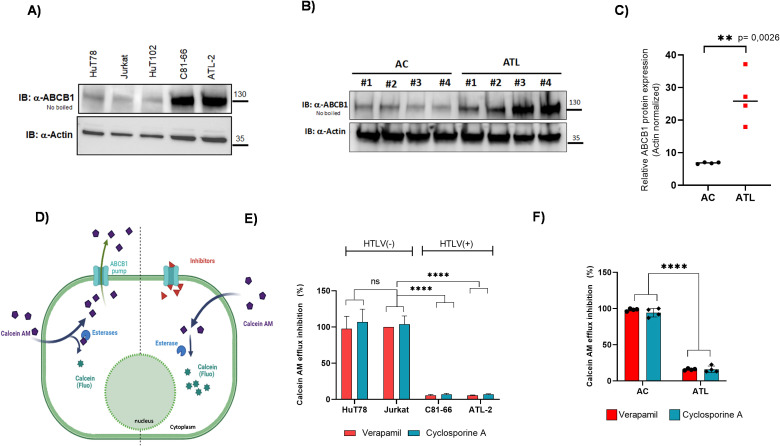 Figure 4
