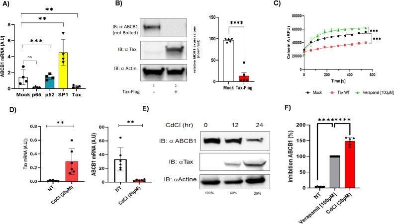 Figure 6