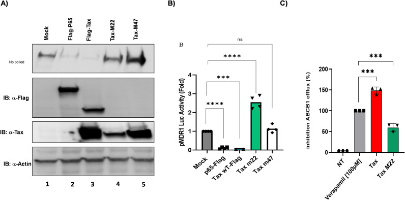 Figure 7