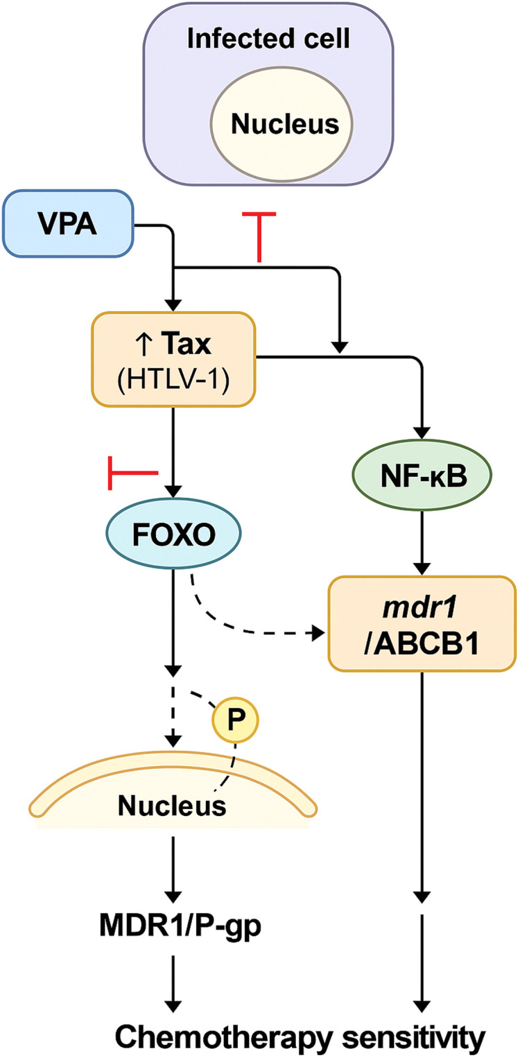 Figure 9