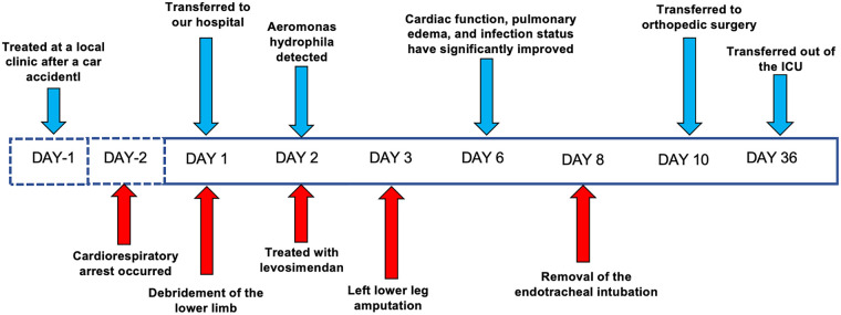 Figure 4