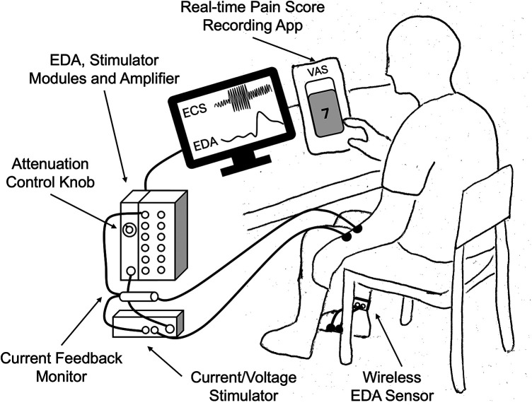 Figure 1
