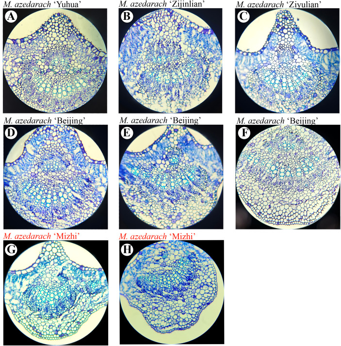 Figure 14