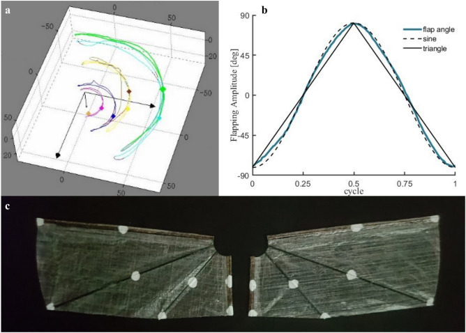 Figure 21