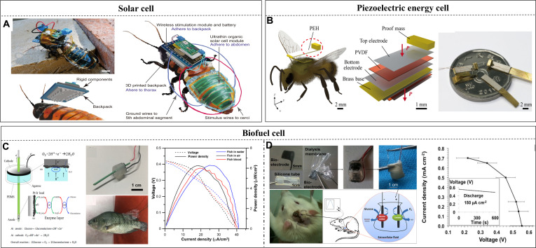 Figure 10