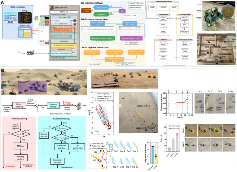 Figure 12