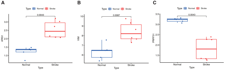 Figure 6