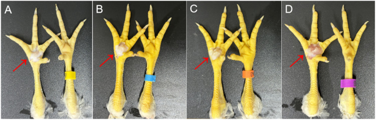 Figure 9