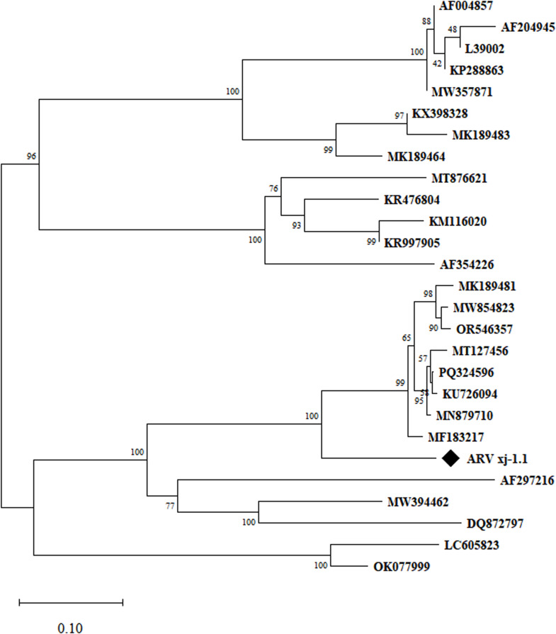 Figure 12
