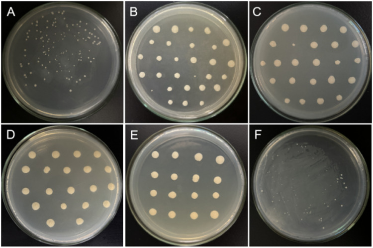Figure 17
