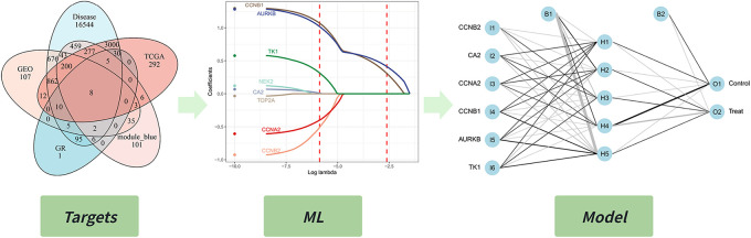 Figure 9