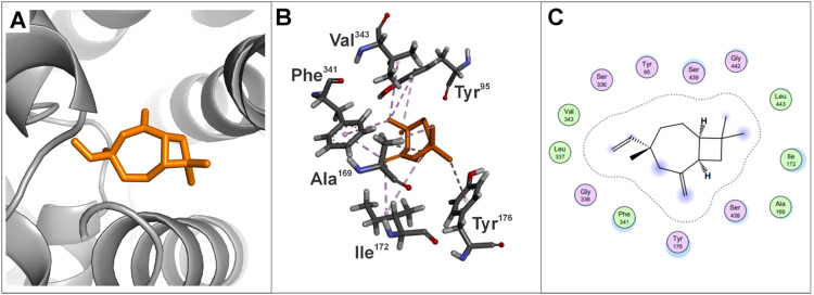Figure 9
